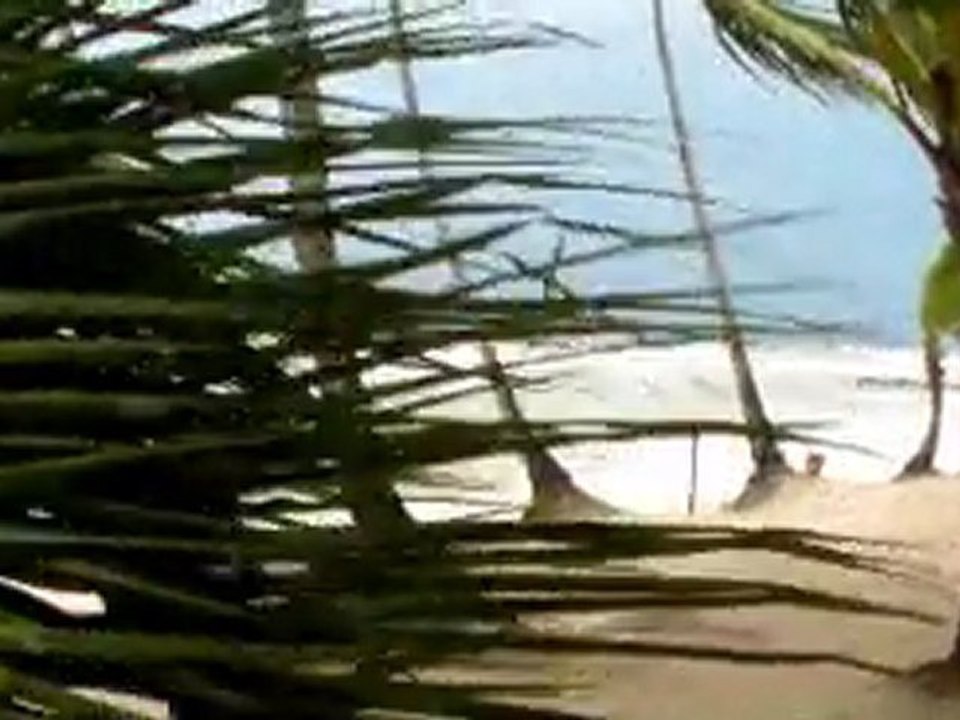 irene ouragan plage bayahibe republique dominicaine