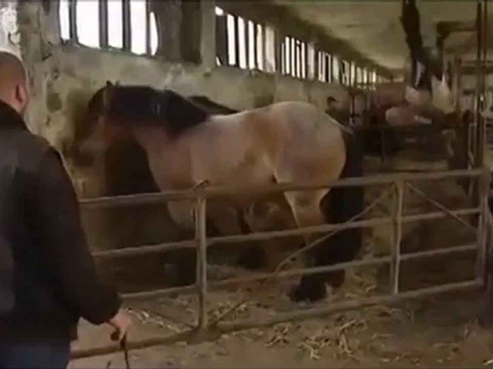 E(Ι)ππικό Fail
