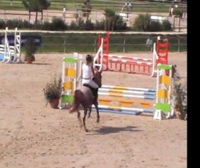 Thriller de Beausse Finale CC 4 ans D 2011 Excellent