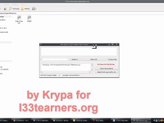 l33tearners.org Youtube Video Checker