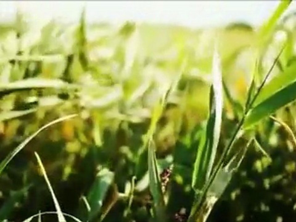 Tugay Ören & Boys Anilar - Geliver 2011  (yepyeni)