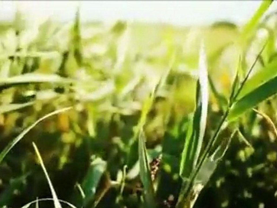 Tugay Ören & Boys Anilar - Geliver 2011 (yepyeni)