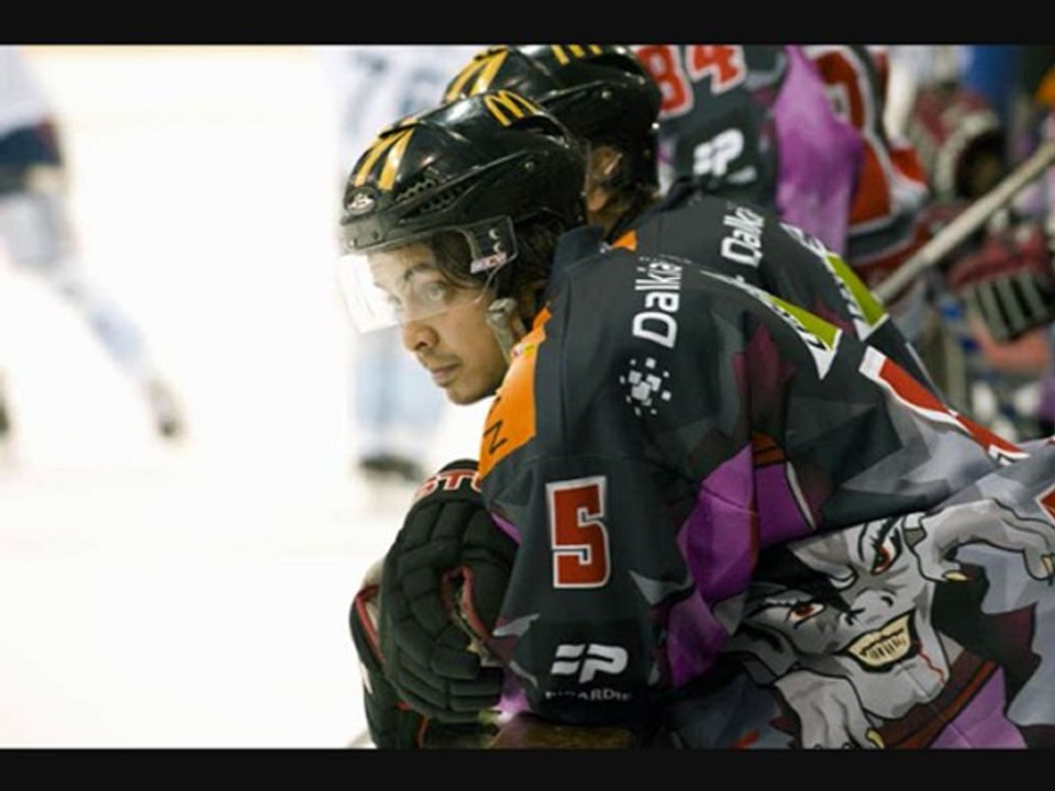 Les Gothiques Saison 2011-2012