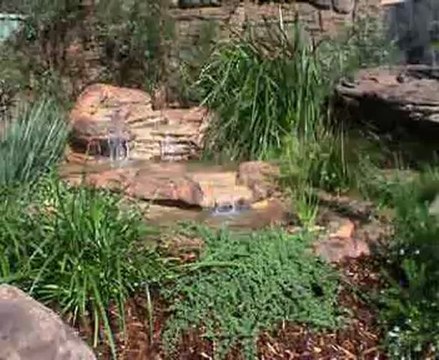 Yapay kaya şelale havuz 11