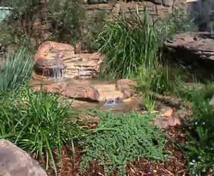 Yapay kaya şelale havuz 11