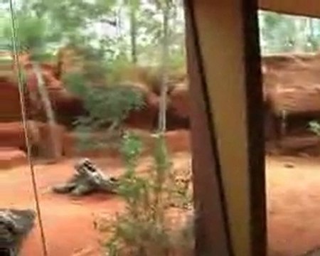 Yapay kaya şelale havuz 14