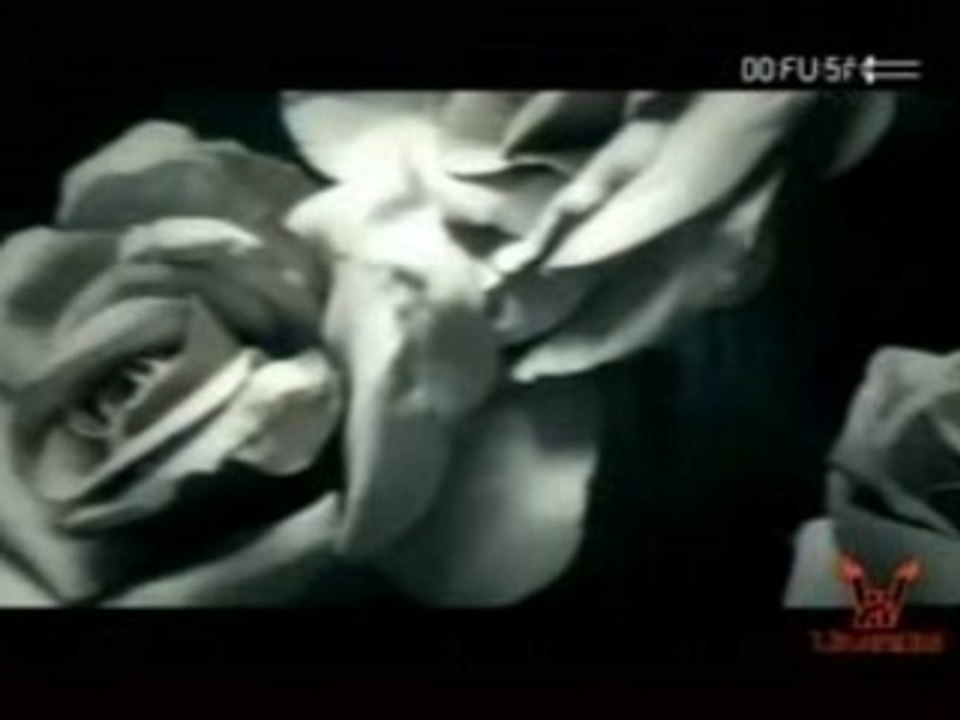 Cradle Of Filth - Nymphetamine