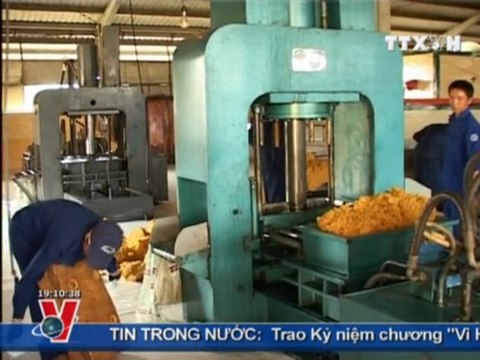 TTXVN, VNEWS, TIN TỨC, BẢN TIN THỜI SỰ TRUYỀN HÌNH THÔNG TẤN 19H 19.8.2011, CLIP 1/2