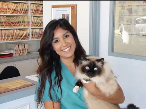 animal hospital Mission Viejo Pet Clinic - Vet 949-588-9339