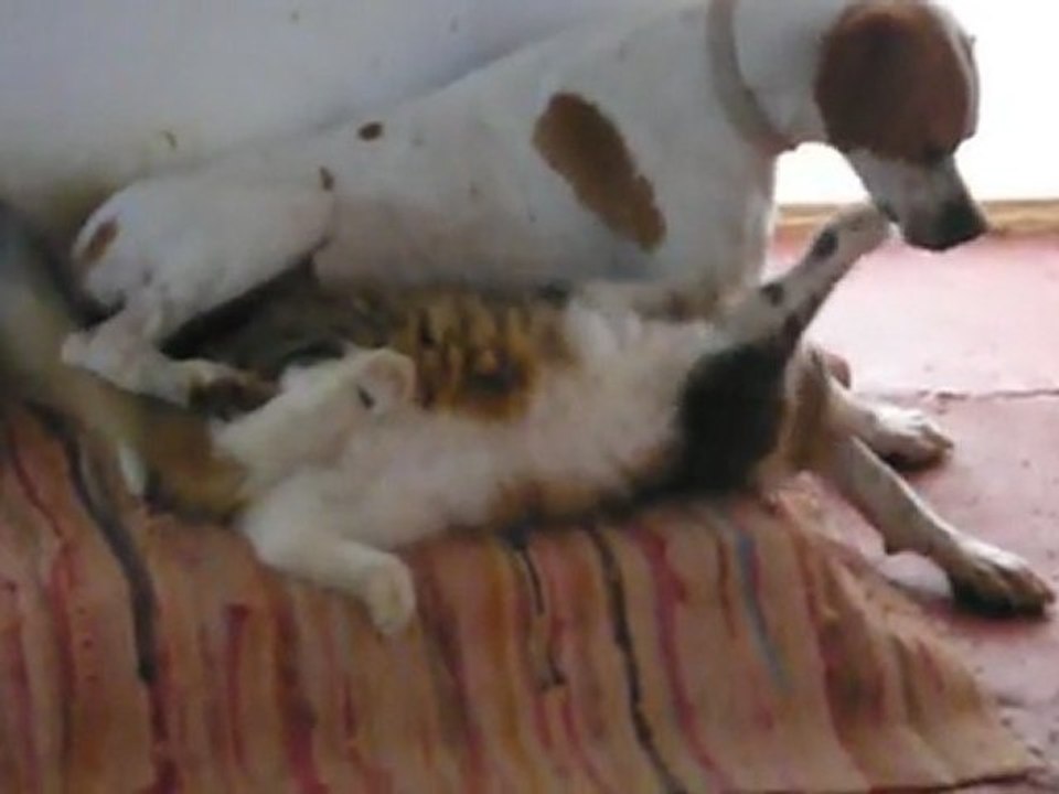 alithia et vincent