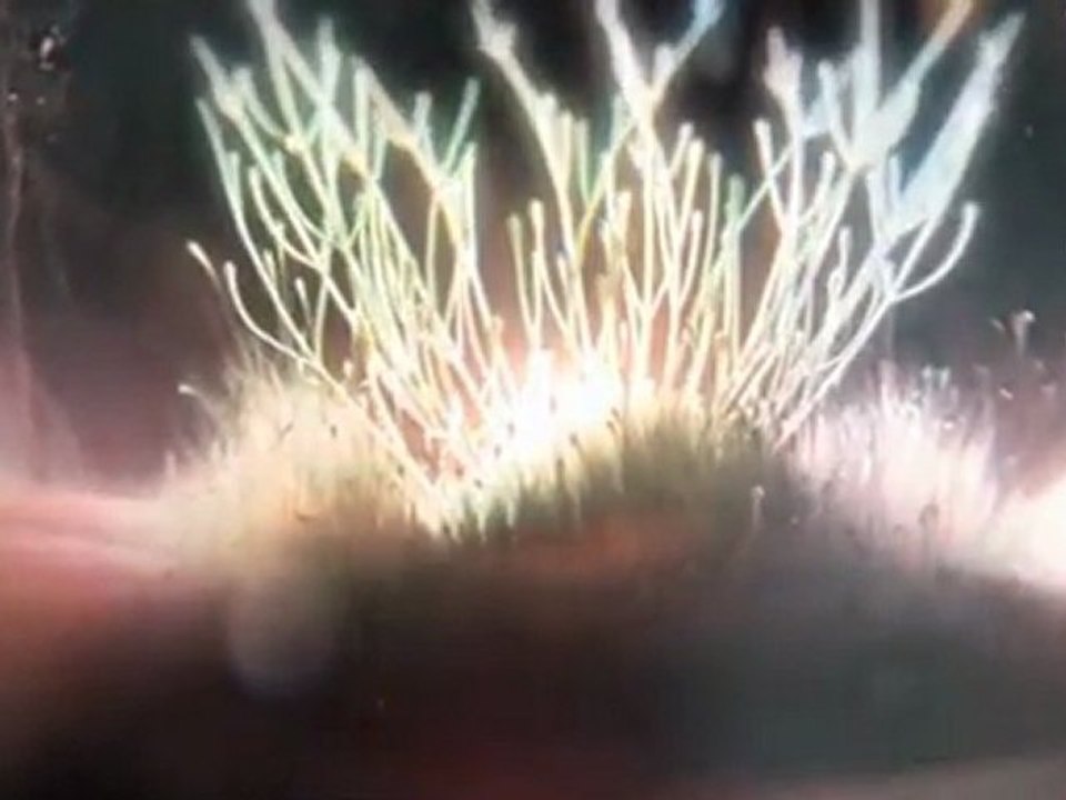 Blessing And Honor - O QUANTA QUALIA