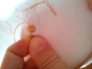 Point de Bourdon : Technique de Broderie