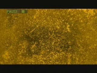 Krav Maga à bercy en 2004