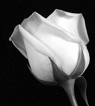 Mehmet Emin Ay - Ne zaman anarsam seni