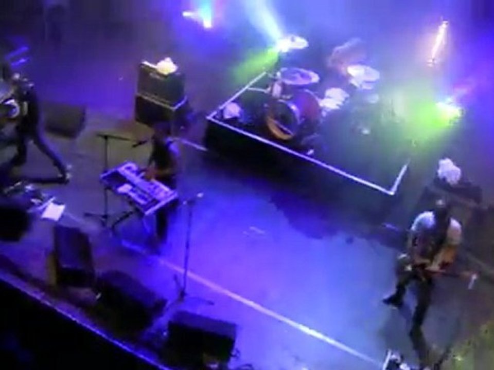 Chien A Plumes 2011 La Phaze