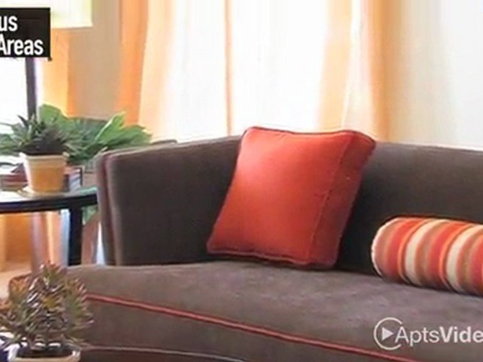 Casa Loma Apartments in Tucson, AZ - ForRent.com