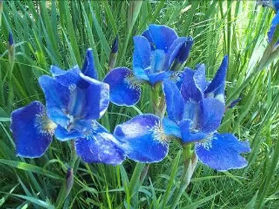 Hüner Coşkuner..Paydos..