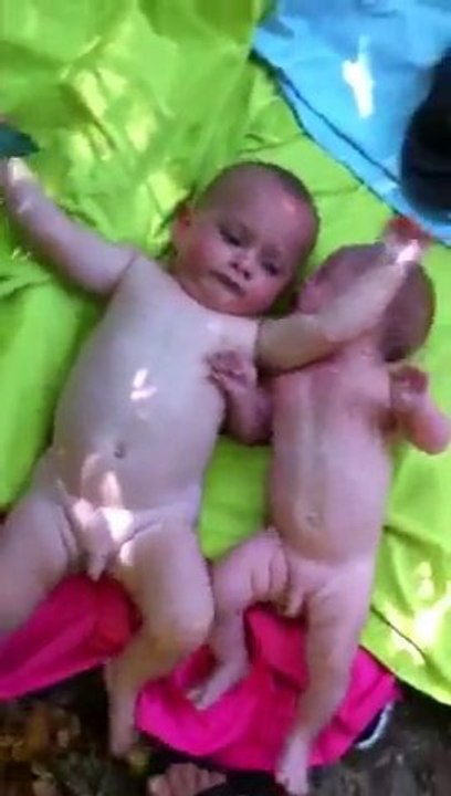 les cousins a la rivière