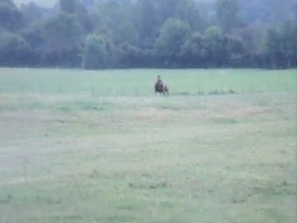 Fanny- Galop.