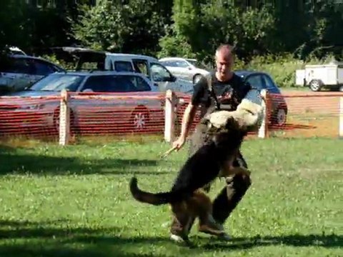 TAU de DOLCE GABANNA du SAVAGE GARDEN