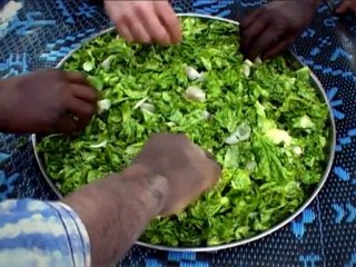 Bande annonce "Semences d'autonomie"