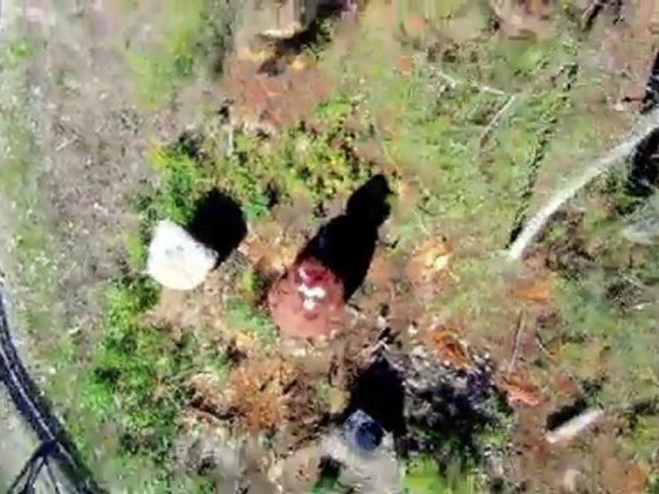 SAMBUY 4 SLIDE, Luge 4 Saisons de la Sambuy - Pays de Faverges