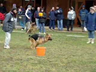 TAU de CHIKITA du SAVAGE GARDEN