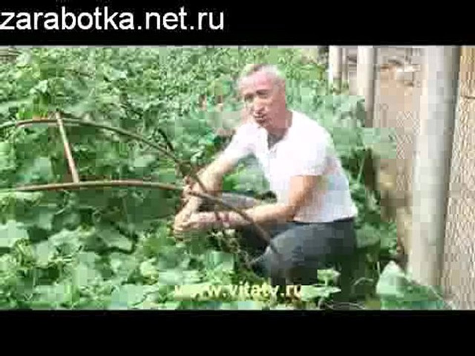 Сладенький