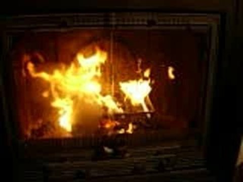 Flambée Foyer aux granulés de bois