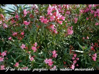 Le chemin des souvenirs