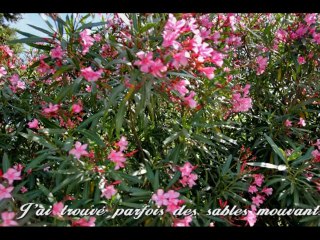 Le chemin des souvenirs