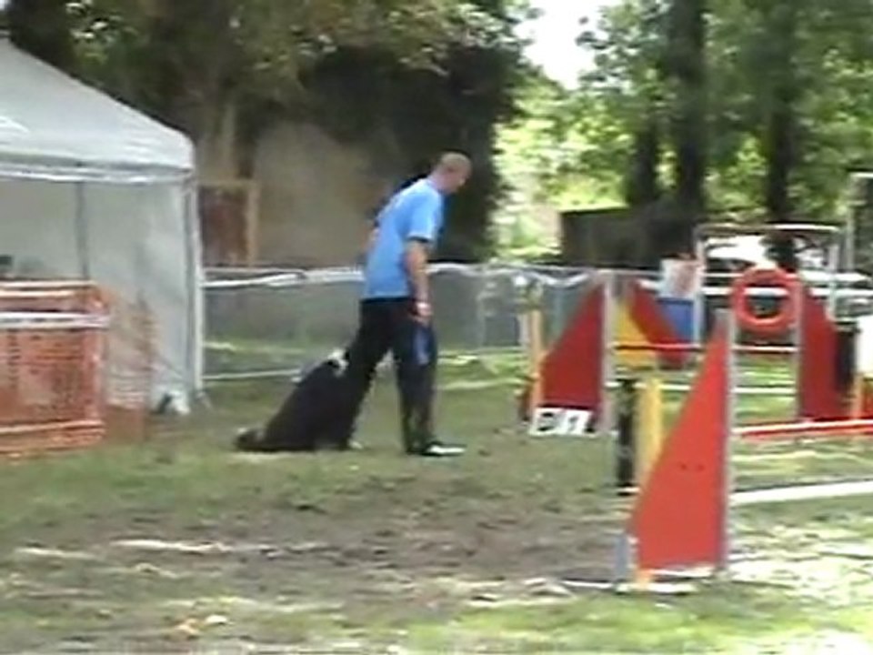 Distroff 2011 (1)