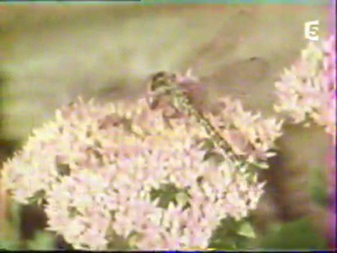 Le Mythe des Géants