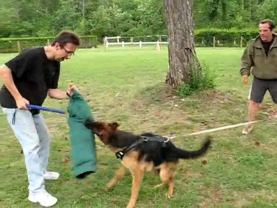 DOLCE GABANNA de SAVAGE GARDEN (débourrage jambière)