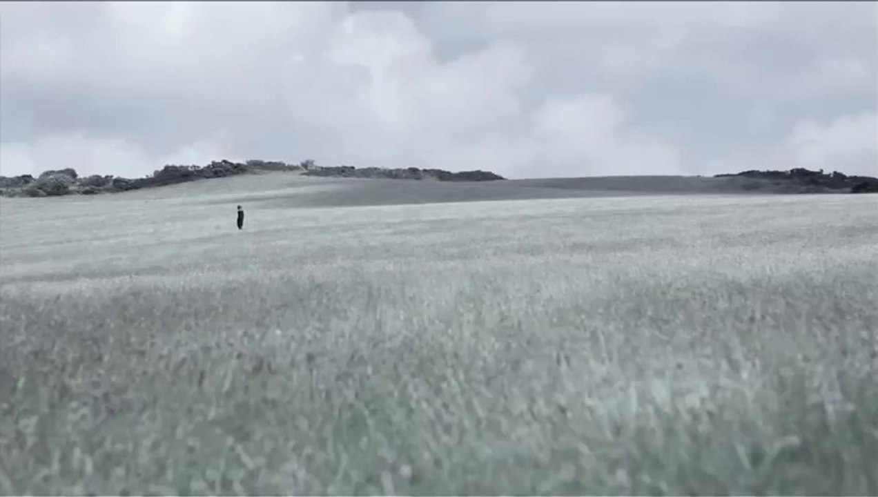 Into the Light - Sizwe MtShali