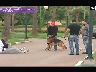 جار ومجرور: الأربعاء 24 غشت