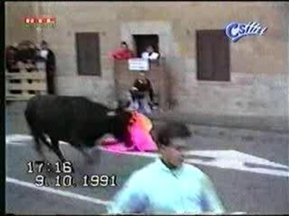 Taureaux_ choc_frontal
