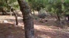motos