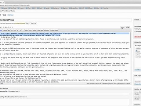WordPress: Pages and Posts Editor Tutorial Part 1