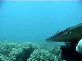 Le tres gros poisson