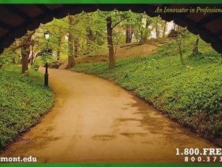 College of Legal Studies