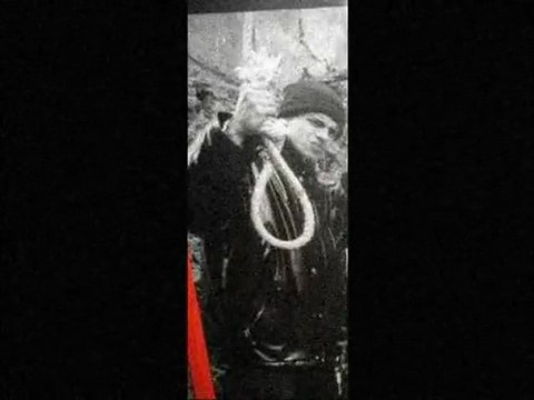 collector sans mentir le rat luciano