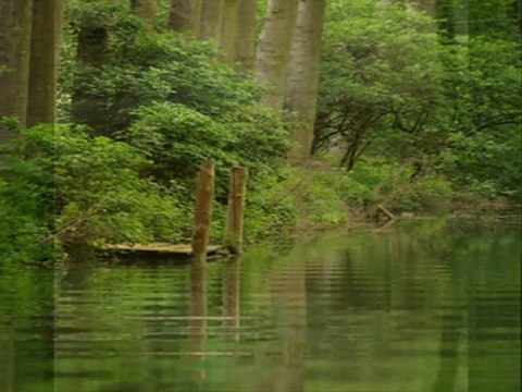 Yunus Bulat-Nazım Hikmet Bence şimdi sende herkes gibisin