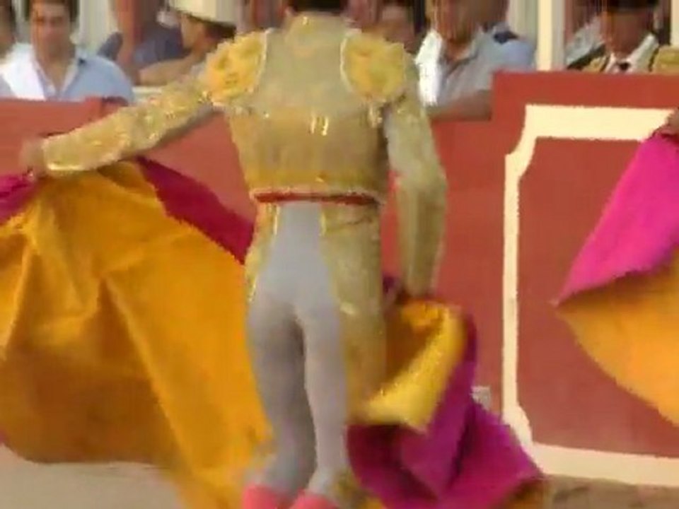 Toros ! L'amour à mort