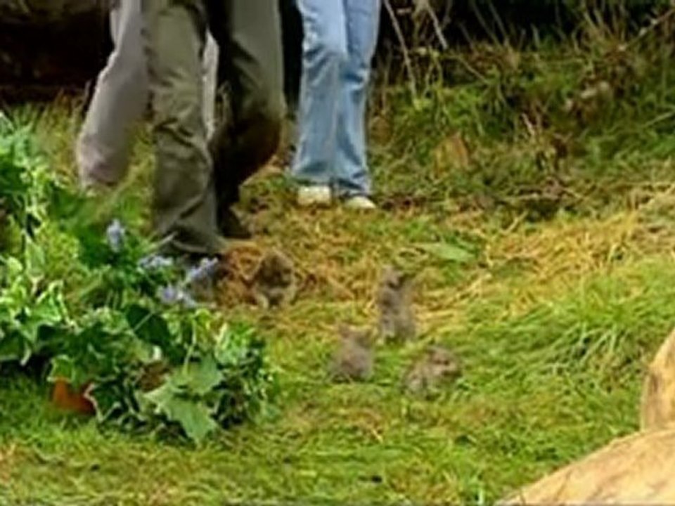 Byker Grove S16E08