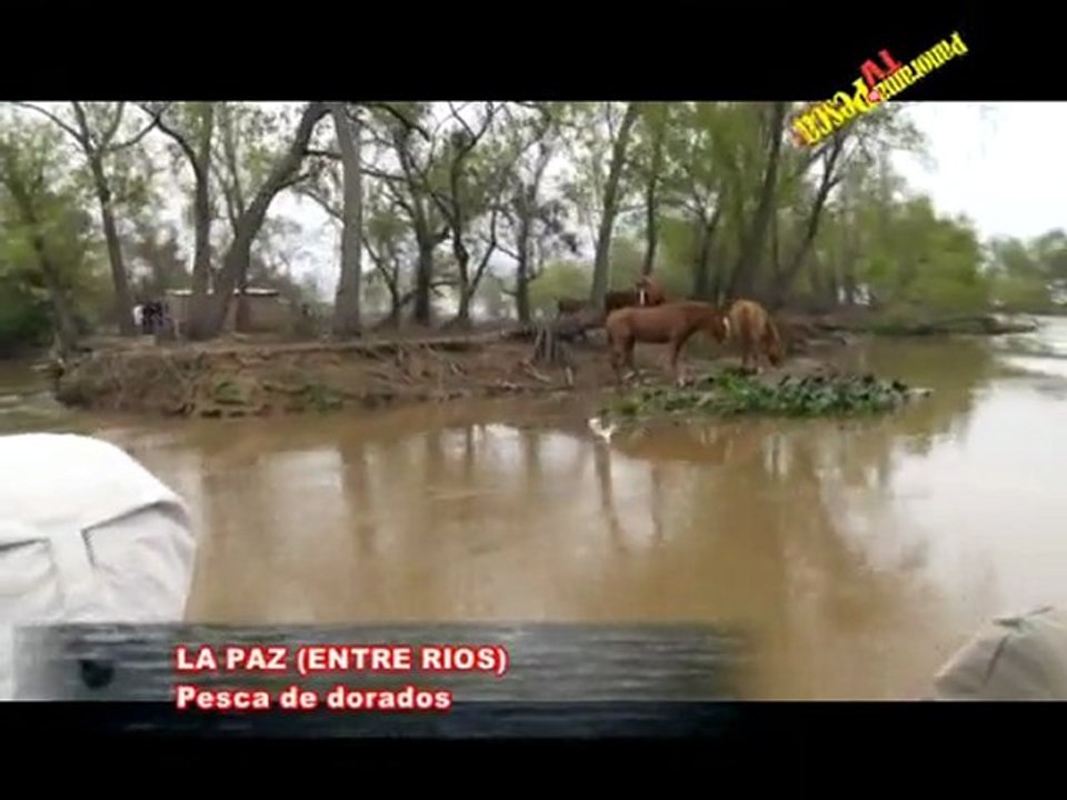 Panorama de Pesca TV 36