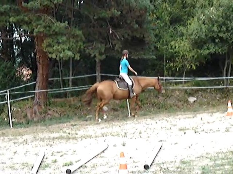 Ravel extension d'encolure 25 août (2)