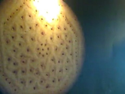 Peygamber efendimizin hırka-i şerifi