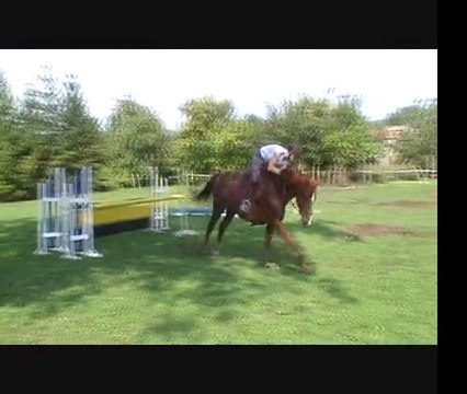 jument 4 ans sortie cso facile