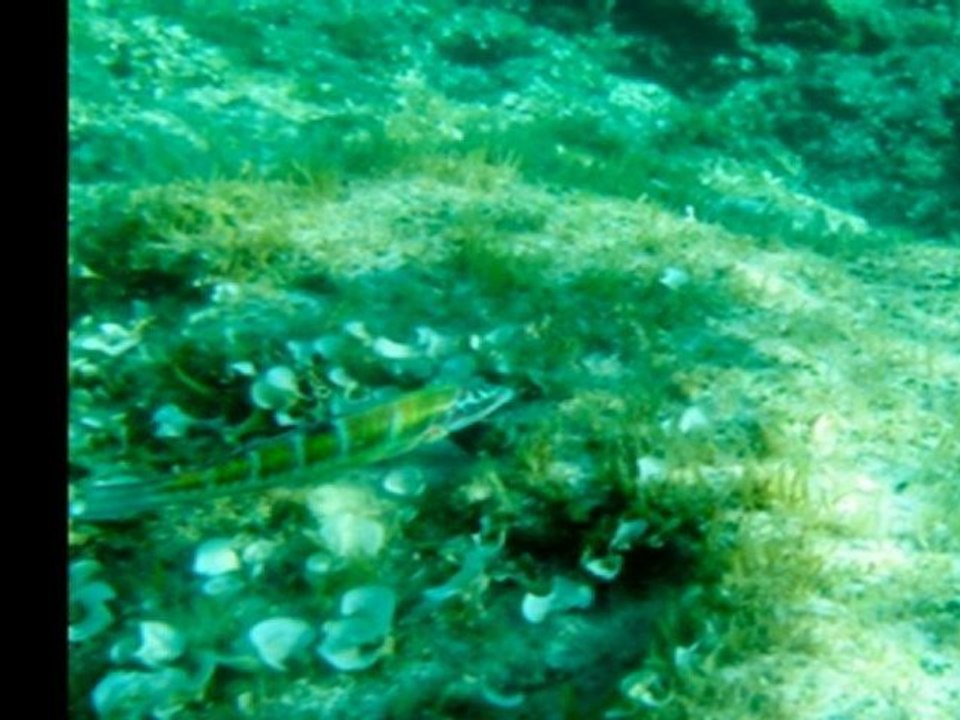 Barcelona-Formentera! :)